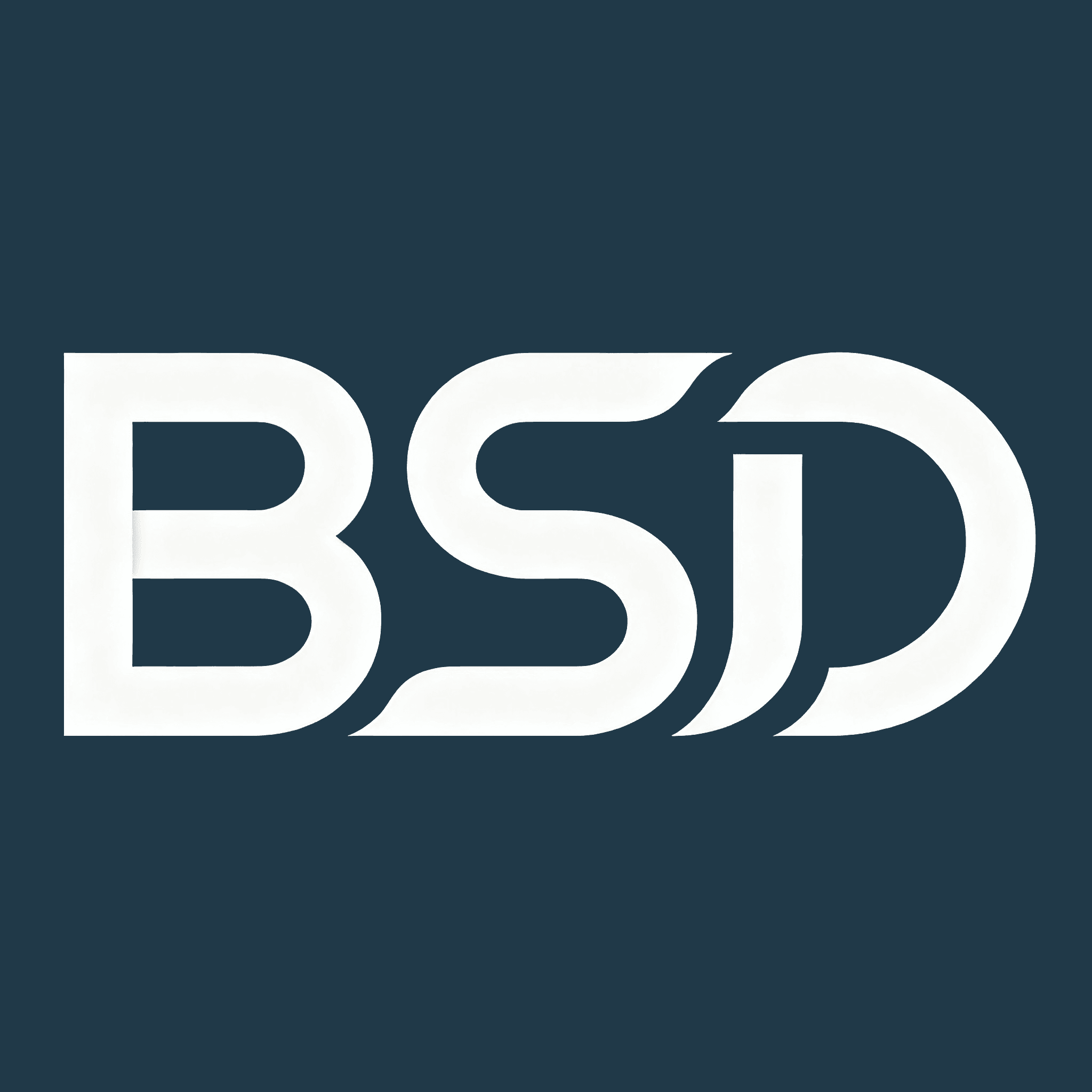 BSI International Logo